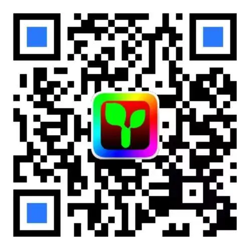 发光举牌