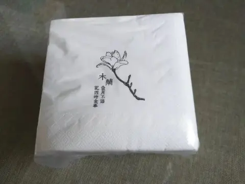 正方形纸巾（大包）
