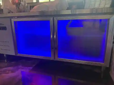 双门蓝光全冷藏工作柜